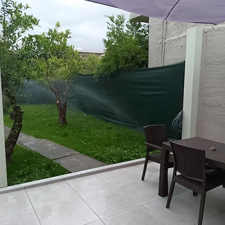 Olgas Cozy Home Hanya Dış mekan fotoğraf
