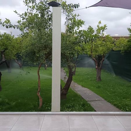 Olgas Cozy Home Hanya Dış mekan fotoğraf